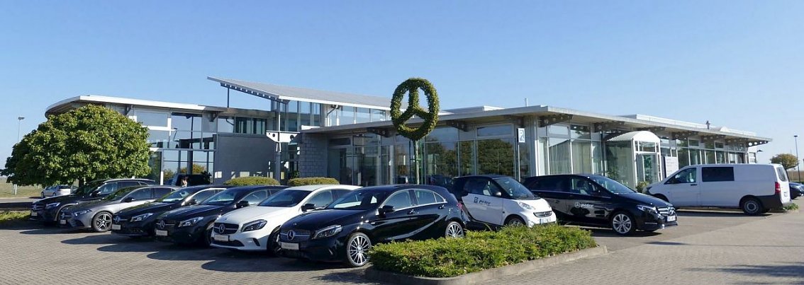 Mercedes-Benz Autohaus in Bernburg mit moderner Glasfront, davor ein Baum in Form des Mercedes-Logos gestutzt, mehrere schwarze und wei&szlig;e Mercedes-Fahrzeuge davor geparkt.