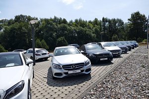 Reihe von Mercedes-Benz Fahrzeugen, die auf einem gepflasterten Außenbereich ausgestellt sind. Die Autos stehen in zwei Reihen, überwiegend in Silber- und Grautönen. Im Hintergrund dichte grüne Bäume und ein klarer Himmel.
