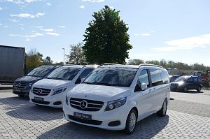 Mehrere weiße �Junge Sterne� (Gebrauchtwagen) Mercedes-Vans in einer Reihe auf einem gepflasterten Autohaus-Gelände bei blauem Himmel.