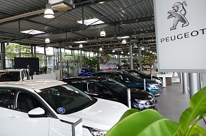 Innenansicht eines Peugeot-Autohauses mit mehreren ausgestellten Autos in einer hellen, modernen Halle. Links vorne ein wei&szlig;es Fahrzeug, im Hintergrund weitere Autos in unterschiedlichen Farben, rechts ein Schild mit Peugeot-Logo.