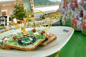 Ein weihnachtliches Abenteuer für die Frösche des DRK-Kindergartens Sonnenschein