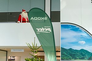 Ein weihnachtliches Abenteuer für die Frösche des DRK-Kindergartens Sonnenschein