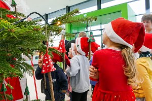 Ein weihnachtliches Abenteuer für die Frösche des DRK-Kindergartens Sonnenschein