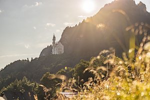 Die Sonne scheint durch die Abenddämmerung auf das märchenhafte Schloss Neuschwanstein, das hoch oben auf einem bewaldeten Berghang thront. Im Vordergrund sind unscharfe Gräser und Pflanzen zu sehen, im Hintergrund ragen dunkle Berge auf. Die Szene wirkt romantisch und verträumt.