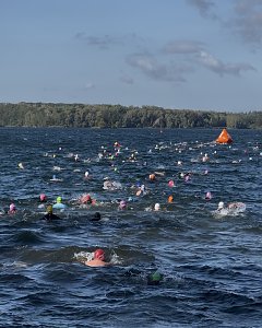 Zahlreiche Triathleten schwimmen mit bunten Badekappen im welligen Wasser des Bergwitzsees. Im Hintergrund ist eine orangefarbene Boje zu sehen. Am Horizont erstreckt sich eine grüne Uferlinie.