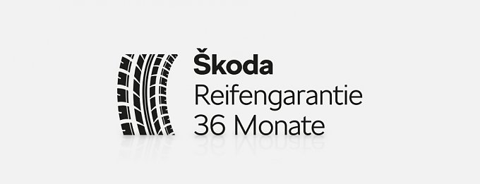 Logo Reifengarantie